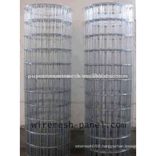 2*2 electro galvanized welded wire mesh